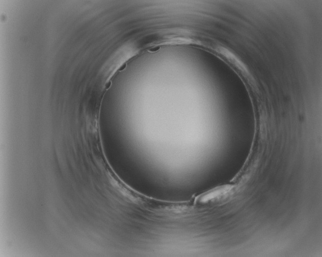 X0000062891193200601201838