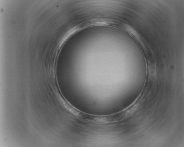 X0000062891194200601201838