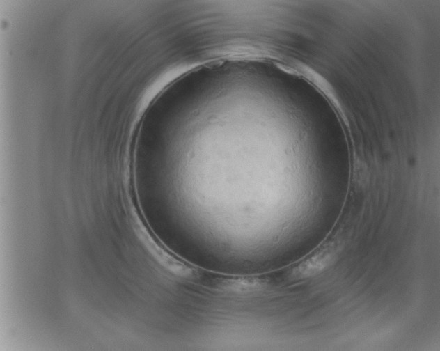 X0000062891195200601201838