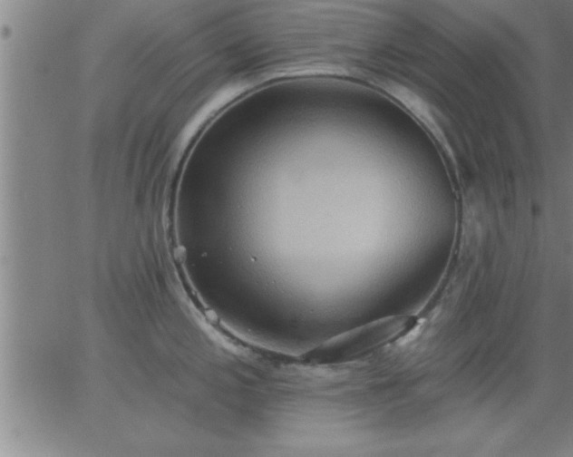 X0000062891197200601201838