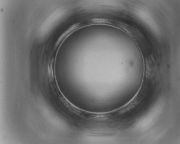 X0000062891198200601201838