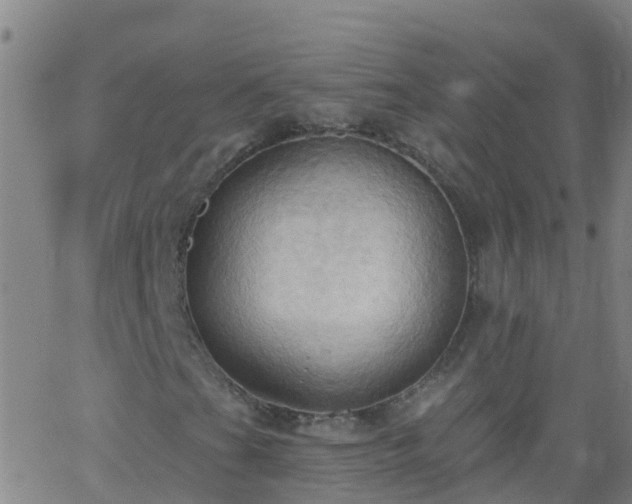 X0000062891201200601201837