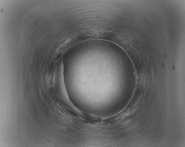 X0000062891202200601201837