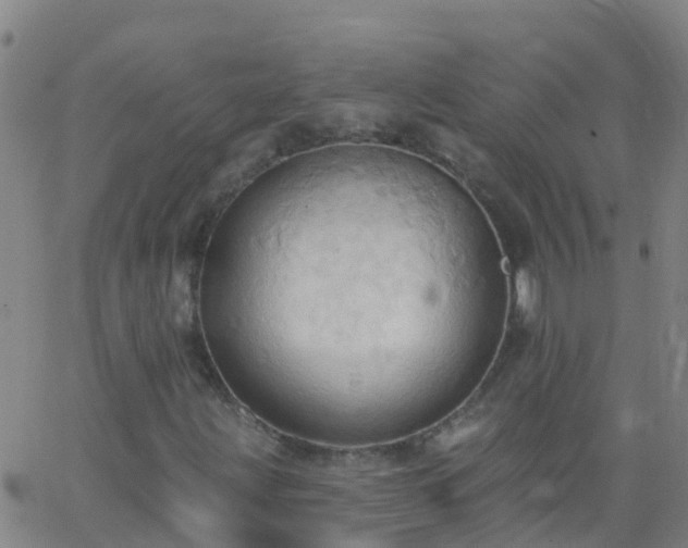 X0000062891203200601201837