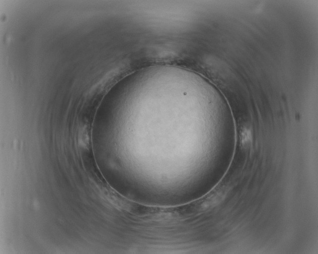 X0000062891204200601201837