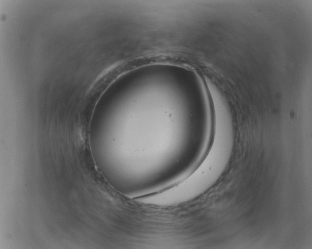 X0000062891206200601201837