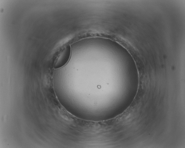 X0000062891207200601201837