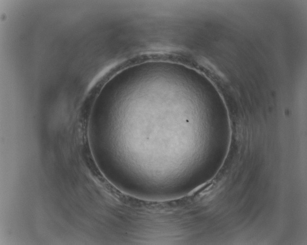 X0000062891208200601201837