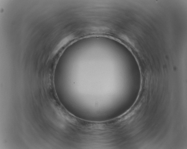 X0000062891211200601201837