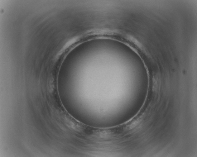 X0000062891213200601201837