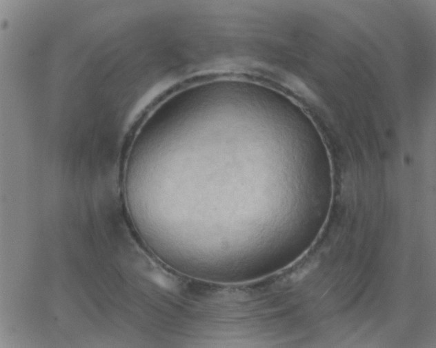 X0000062891216200601201837