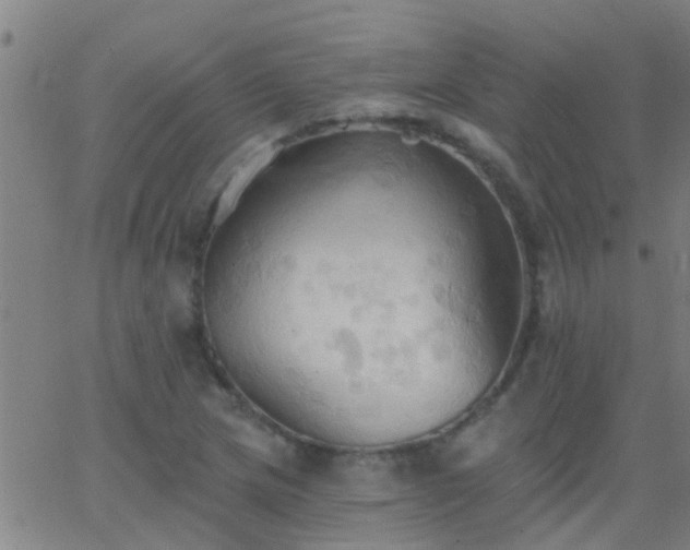 X0000062891217200601201837