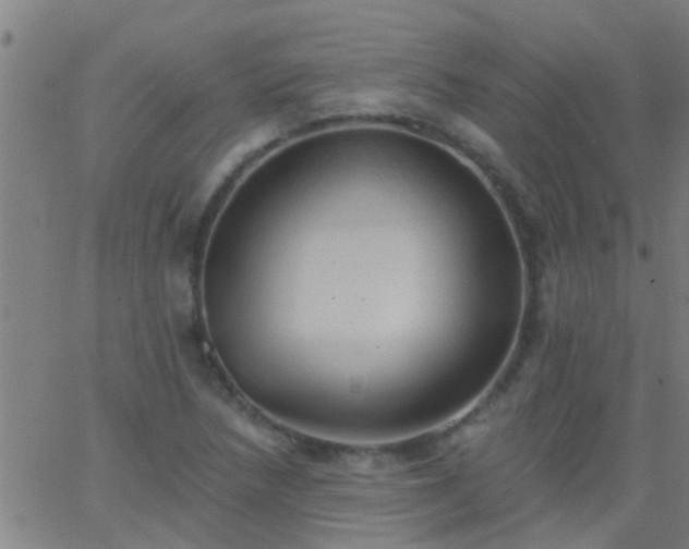 X0000062891218200601201837