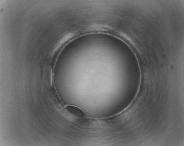 X0000062891219200601201837