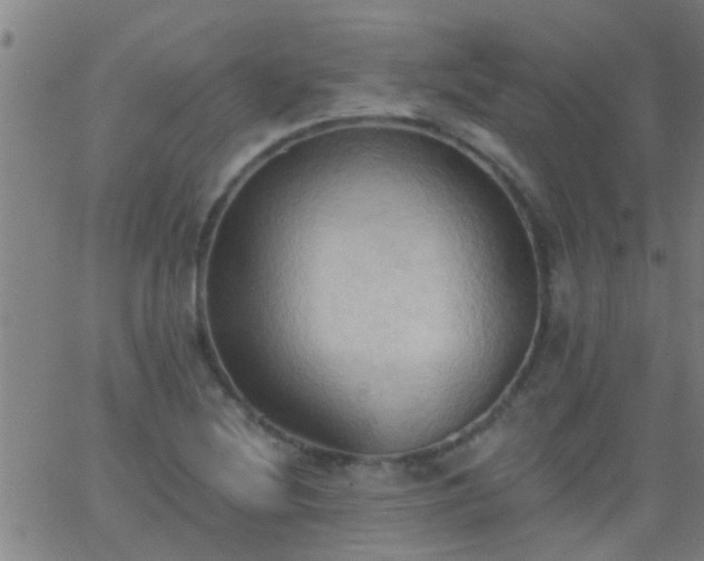 X0000062891220200601201837