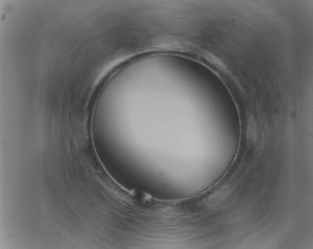 X0000062891222200601201837