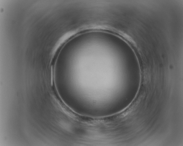 X0000062891223200601201837