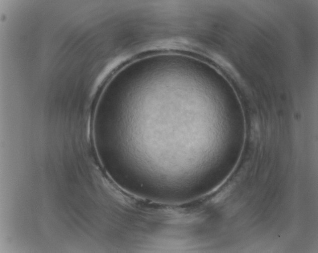 X0000062891224200601201837