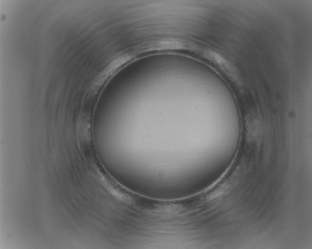 X0000062891225200601201837