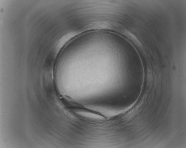 X0000062891226200601201837