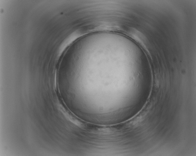 X0000062891227200601201837