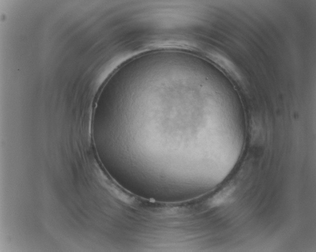 X0000062891228200601201837