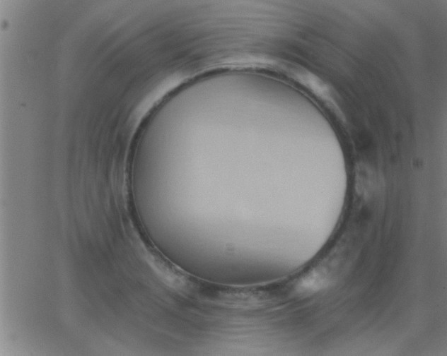 X0000062891229200601201837