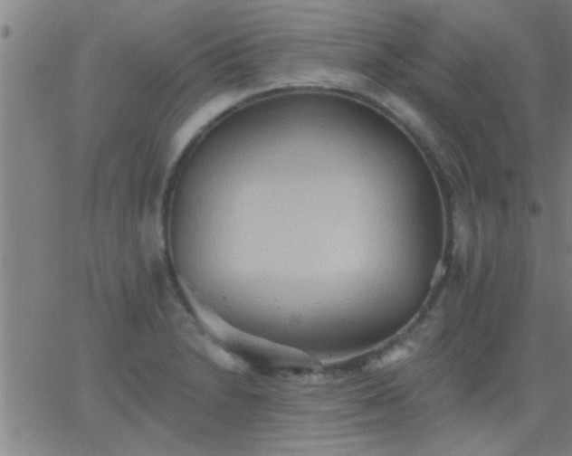 X0000062891230200601201837