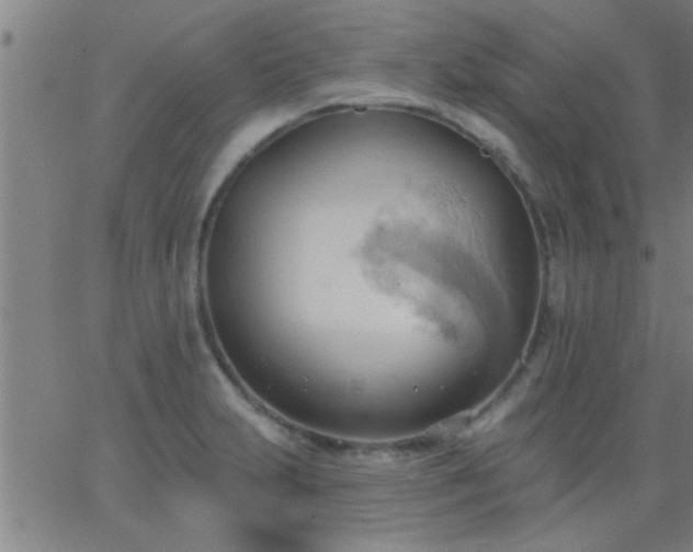 X0000062891231200601201837