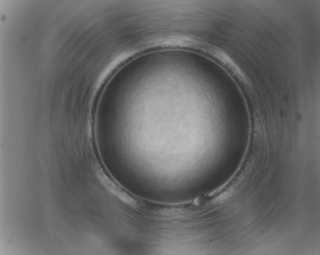 X0000062891232200601201837