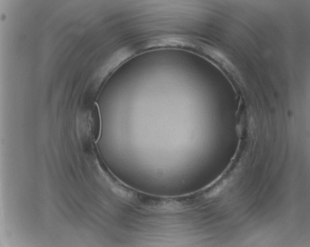 X0000062891233200601201837