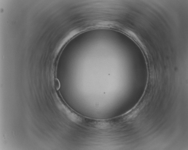 X0000062891235200601201837