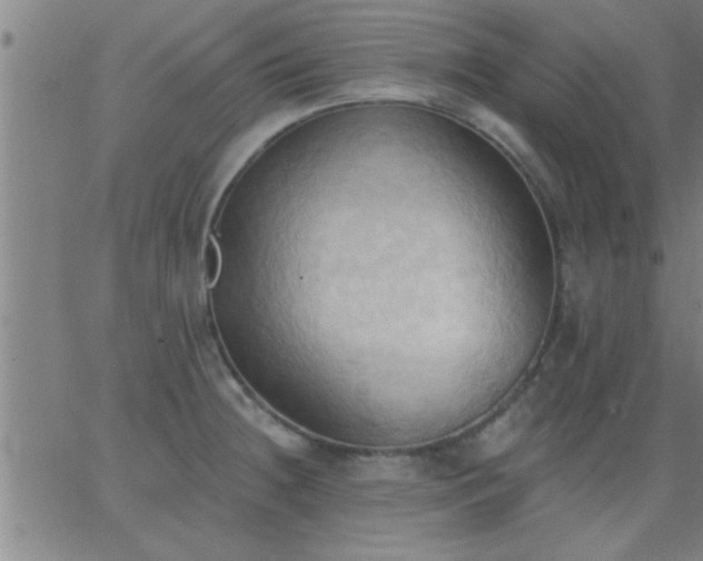 X0000062891236200601201837