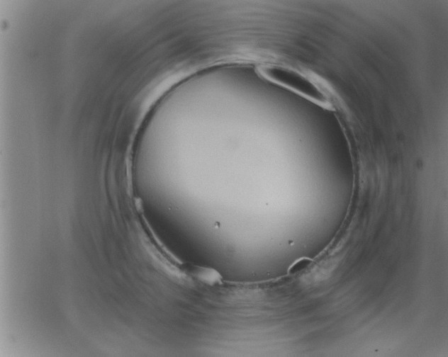 X0000062891238200601201837