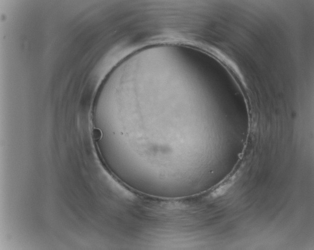 X0000062891239200601201837