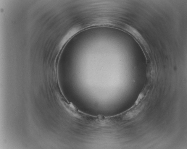 X0000062891242200601201838