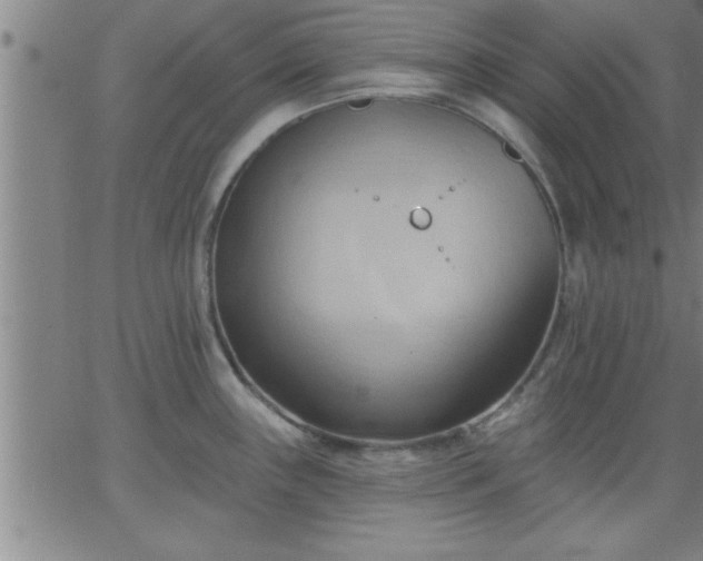 X0000062891243200601201838