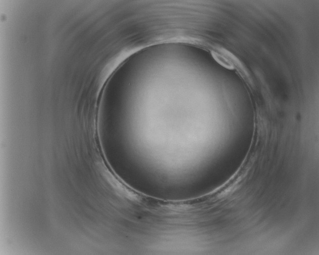 X0000062891244200601201838