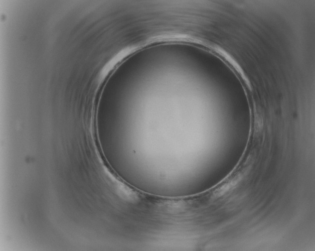 X0000062891245200601201838