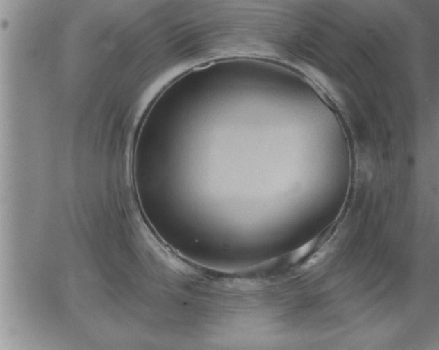 X0000062891246200601201838