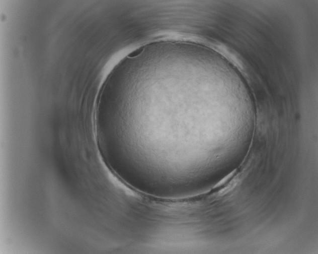 X0000062891247200601201838