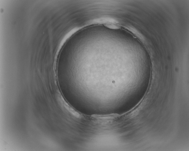 X0000062891248200601201838