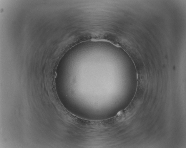 X0000062891249200601201837