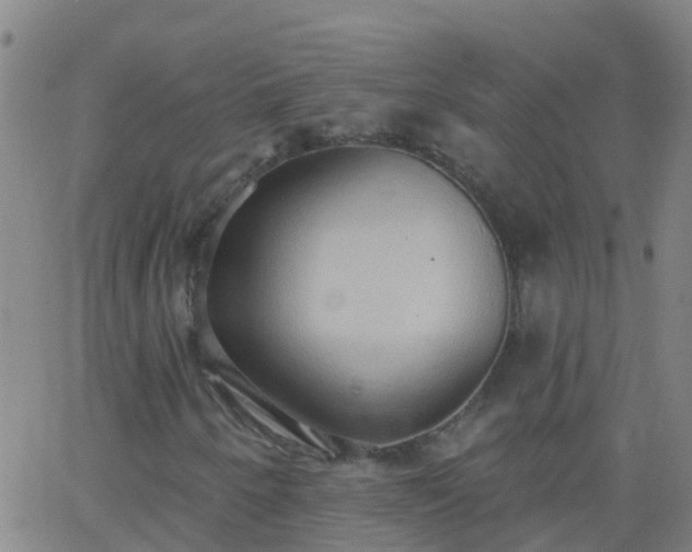 X0000062891250200601201837