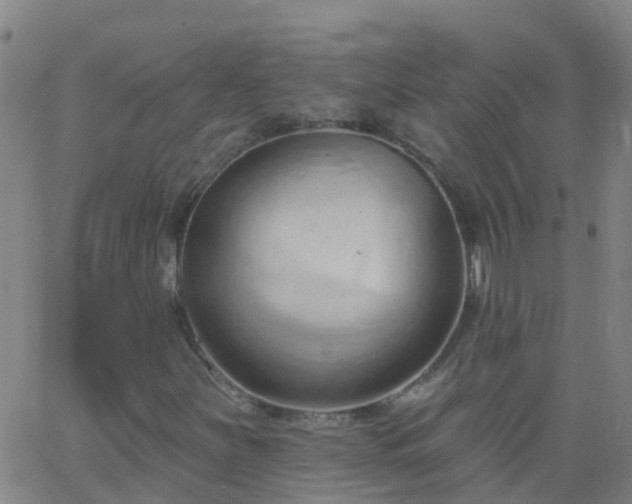 X0000062891251200601201837