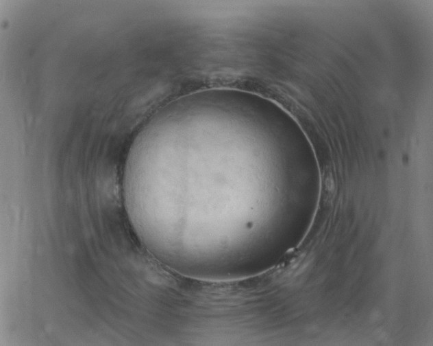 X0000062891252200601201837