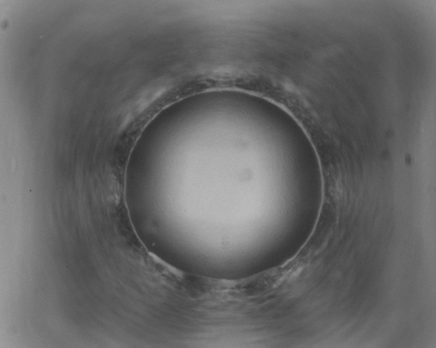 X0000062891253200601201837