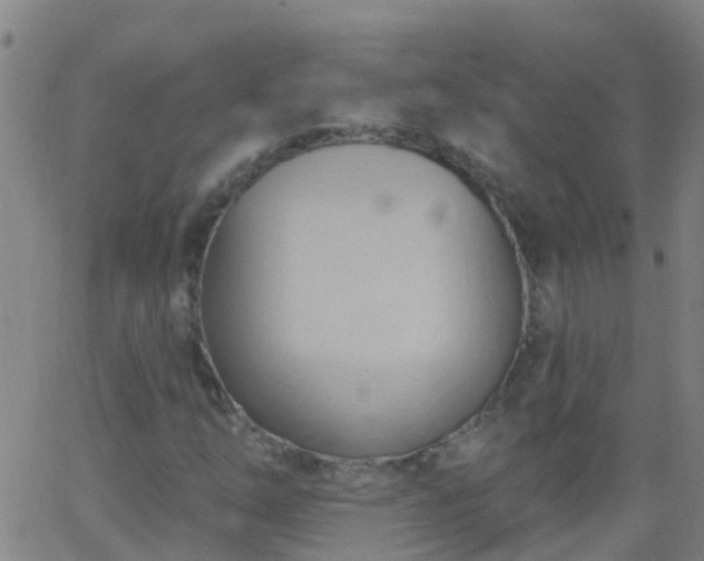 X0000062891254200601201837