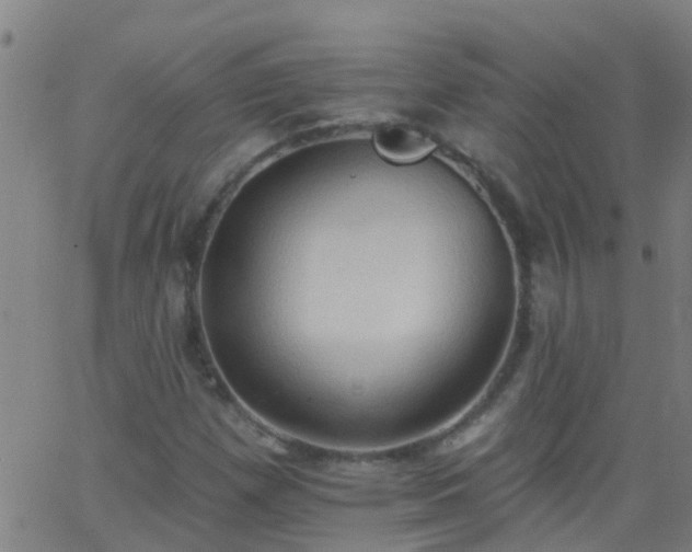 X0000062891257200601201837