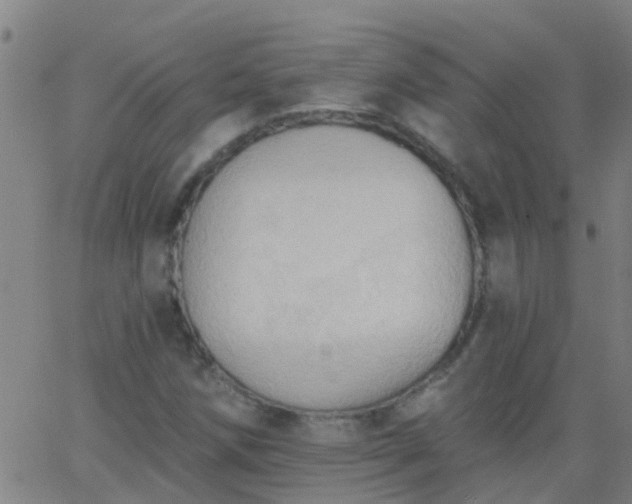 X0000062891258200601201837